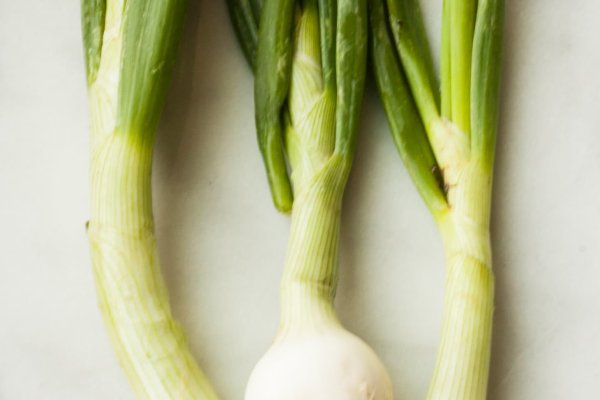 Ссылки в тор