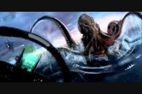 Магазины котиков