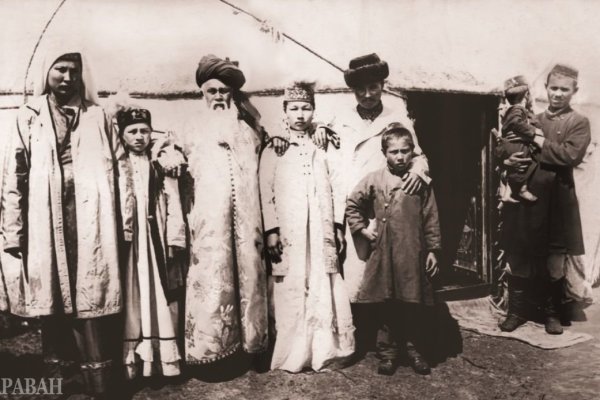 Где купить котиков