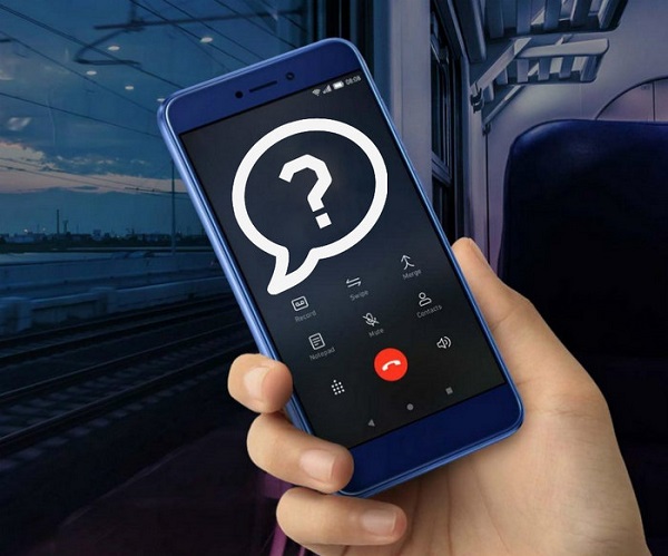 Магазины котиков